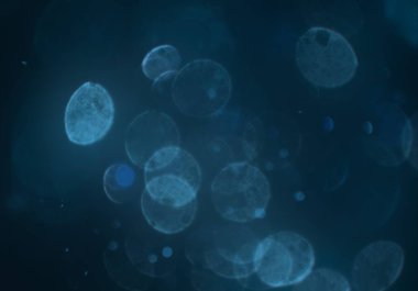 soyut bulanık bokeh arkaplanı