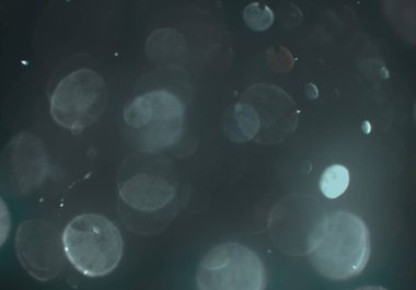 bokeh ve metin için alan ile soyut duvar kağıdı