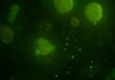 kopya alanı ile bokeh ışıkları dijital arka plan