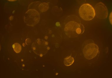 metin veya görüntü için alan ile bokeh arka plan