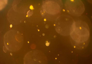 kopya alanı ile bokeh ışıkları dijital arka plan