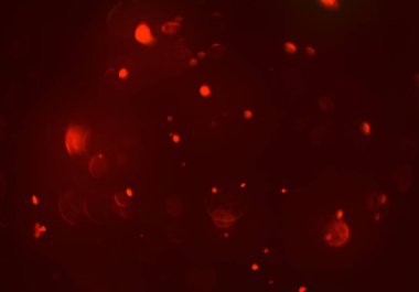 bokeh ile sanat soyut arka plan 