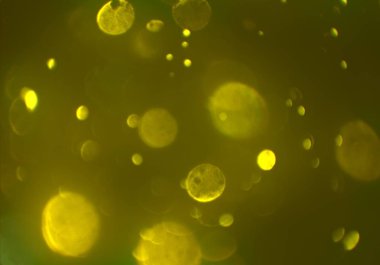 bokeh abstact arka plan ile galaksi