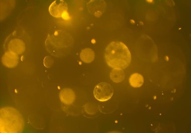 bokeh ile sanat soyut arka plan 