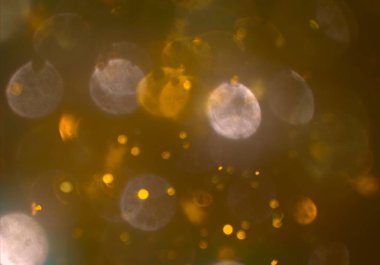 Bokeh ile soyut arkaplan