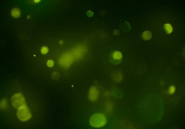 soyut yeşil bokeh arkaplanı