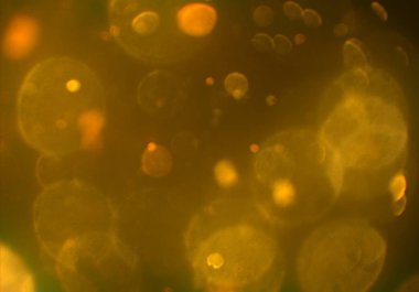 bokeh ile sanat soyut arka plan 