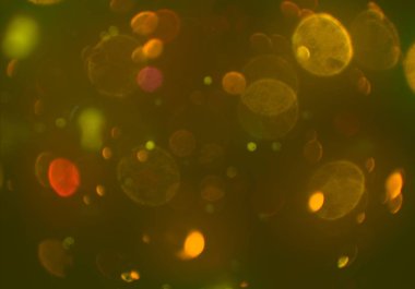 metin veya görüntü için alan ile bokeh arka plan