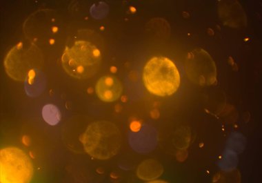 kopya alanı ile bokeh ışıkları dijital arka plan