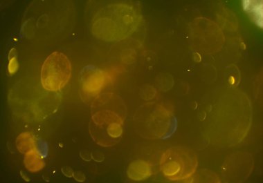 kopya alanı ile bokeh ışıkları dijital arka plan