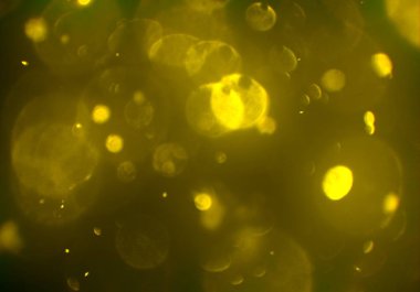 bokeh ile sanat soyut arka plan 