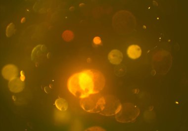 parlak bokeh ışıkları ile dijital duvar kağıdı 