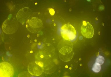 bokeh ile sanat soyut arka plan 