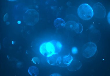 bokeh ile sanat soyut arka plan 