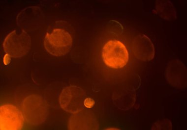 bokeh ile sanat soyut arka plan 