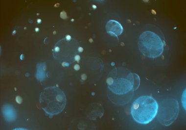 bokeh ile sanat soyut arka plan 