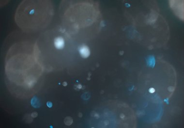 bokeh ışıkları ile soyut duvar kağıdı