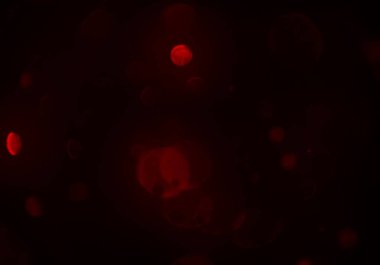 bokeh ile sanat soyut arka plan 