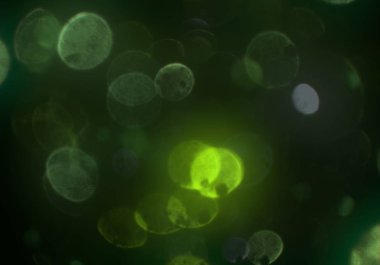 soyut bulanık bokeh arkaplanı