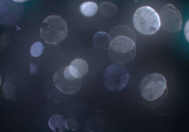 Tasarımınız için parlak bokeh arka plan