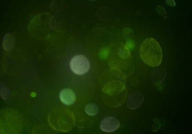 soyut yeşil bokeh arkaplanı