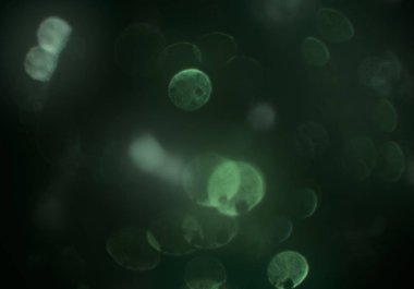 bokeh ile sanat soyut arka plan 