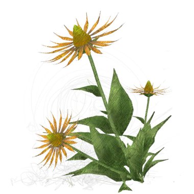 Beyaz arkaplanda izole edilmiş noel ağacı