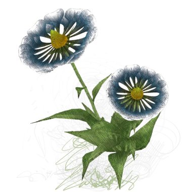 beyaz zemin üzerine suluboya çiçek