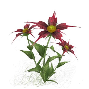 beyaz arkaplanda kırmızı çiçekler