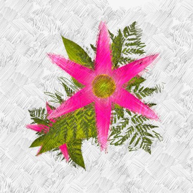 beyaz arka planda noel yaprakları