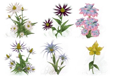 Beyaz arkaplanda çiçekler