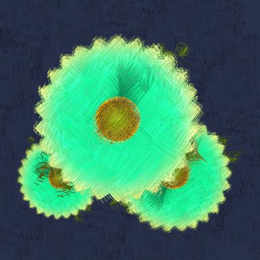 siyah bir arka plan üzerinde taze çiçekler