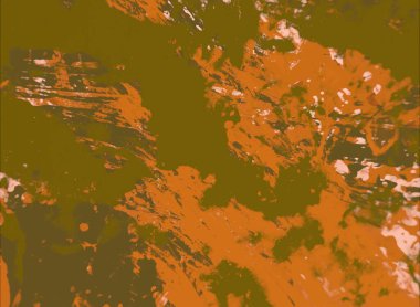 Ormanda sonbahar yaprakları