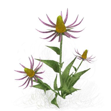 Beyaz zemin üzerine suluboya çiçek