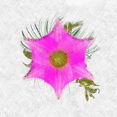 Renkli çiçek doku arka plan 