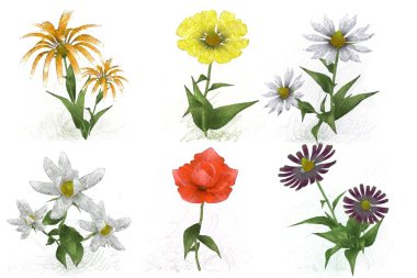 Beyaz arka planda güzel suluboya çiçekler