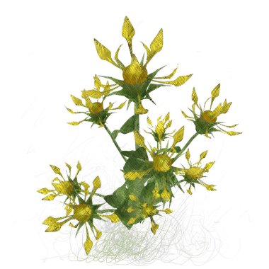 Beyaz arkaplanda güzel çiçekler