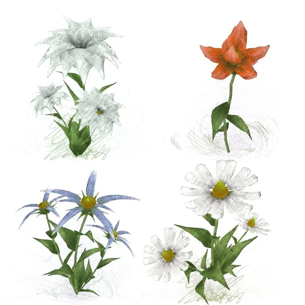 Akwarela Kwiaty Białym Tle — Zdjęcie stockowe