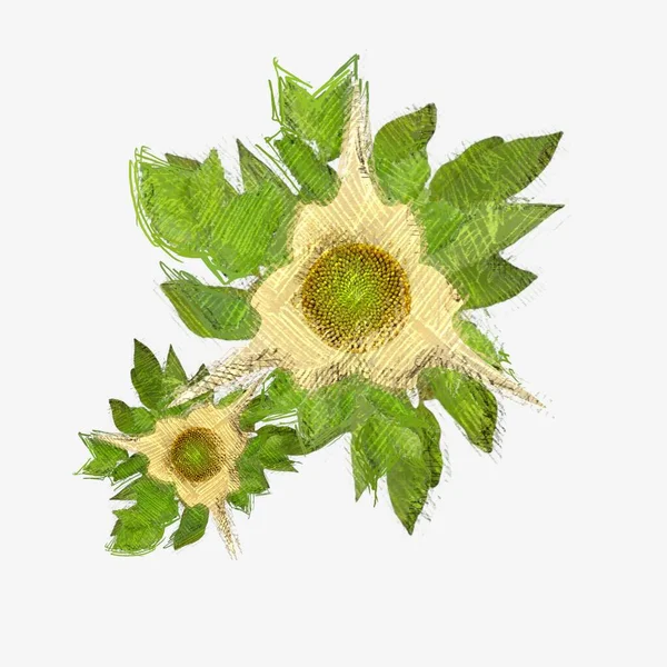 Dekorative Blume Bild Florale Illustration Botanisches Kunstwerk Handgemachte Zeichnung — Stockfoto