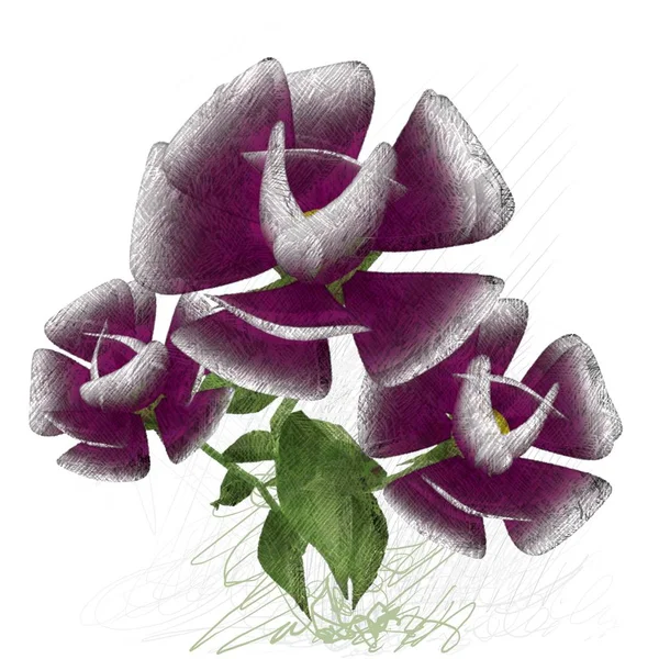 Orchidea Rosa Isolata Sfondo Bianco — Foto Stock