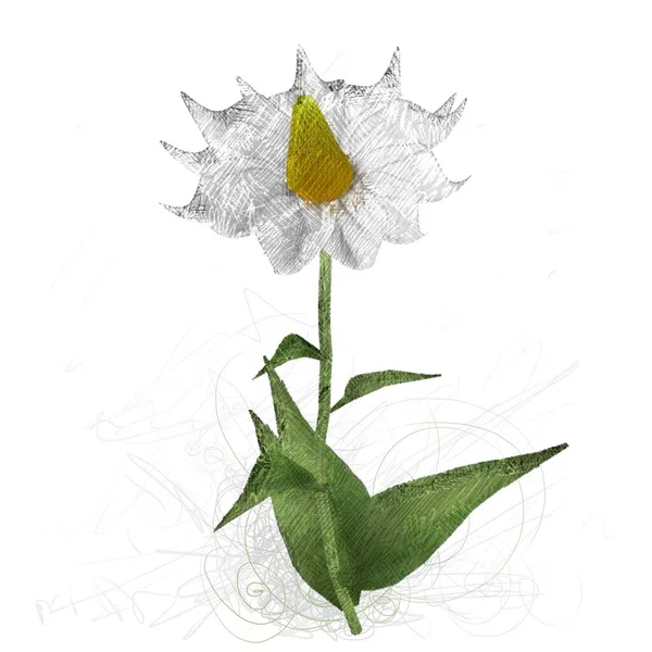Green Flower Isolated White Background — Stock Photo, Image