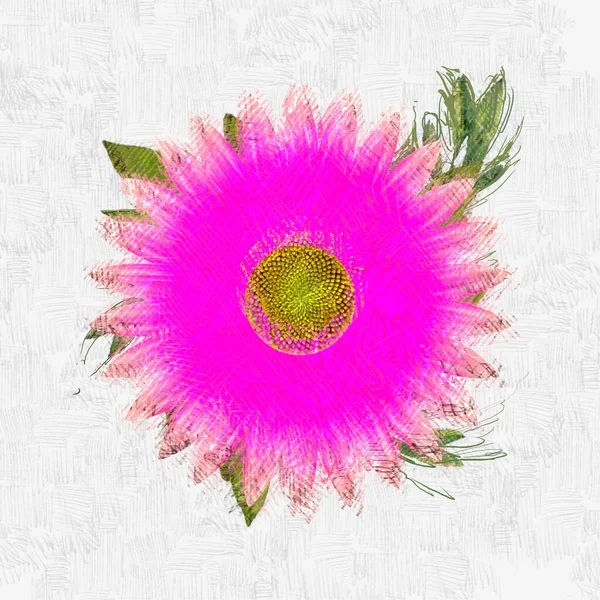 Брудна Гранжева Квітка Бурхливому Фоні — стокове фото
