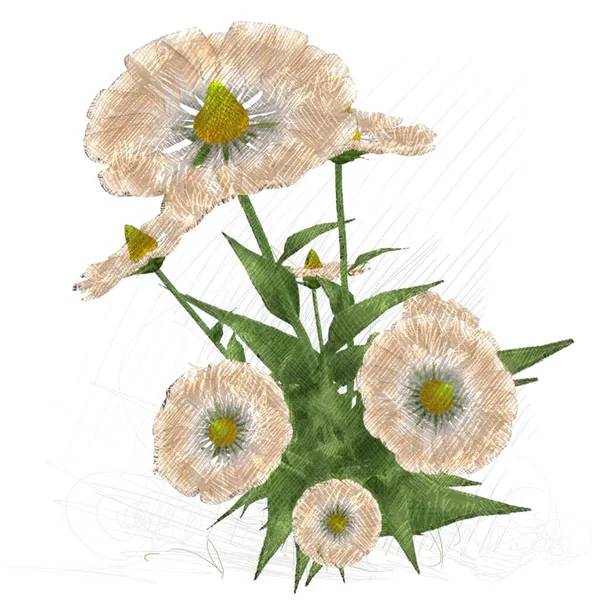 Aquarel Bloemen Achtergrond Met Bloemen — Stockfoto