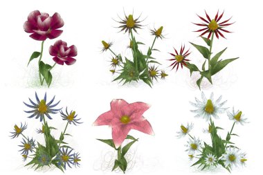 Beyaz arkaplanda güzel çiçekler