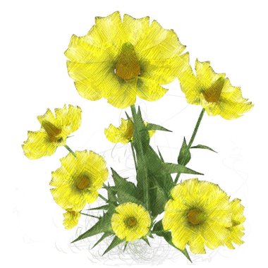 Beyaz arkaplanda izole edilmiş sarı çiçekler