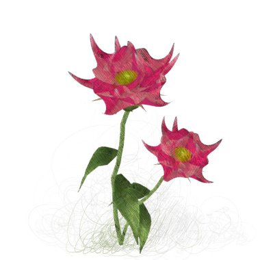 Beyaz arkaplanda güzel çiçekler 