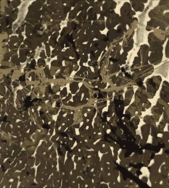 Beyaz arkaplanda su damlaları