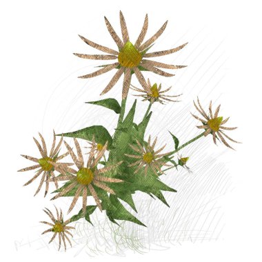 Beyaz arkaplanda güzel çiçekler 