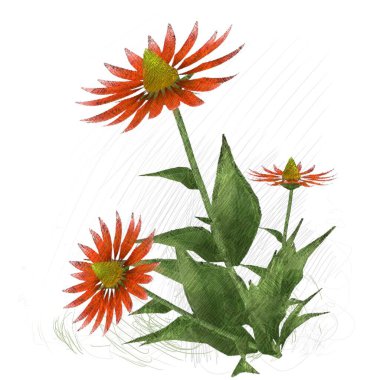 Beyaz arka planda izole dağınık grungy çiçekler