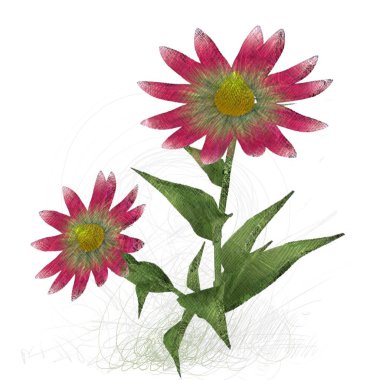 Beyaz arkaplanda güzel çiçekler